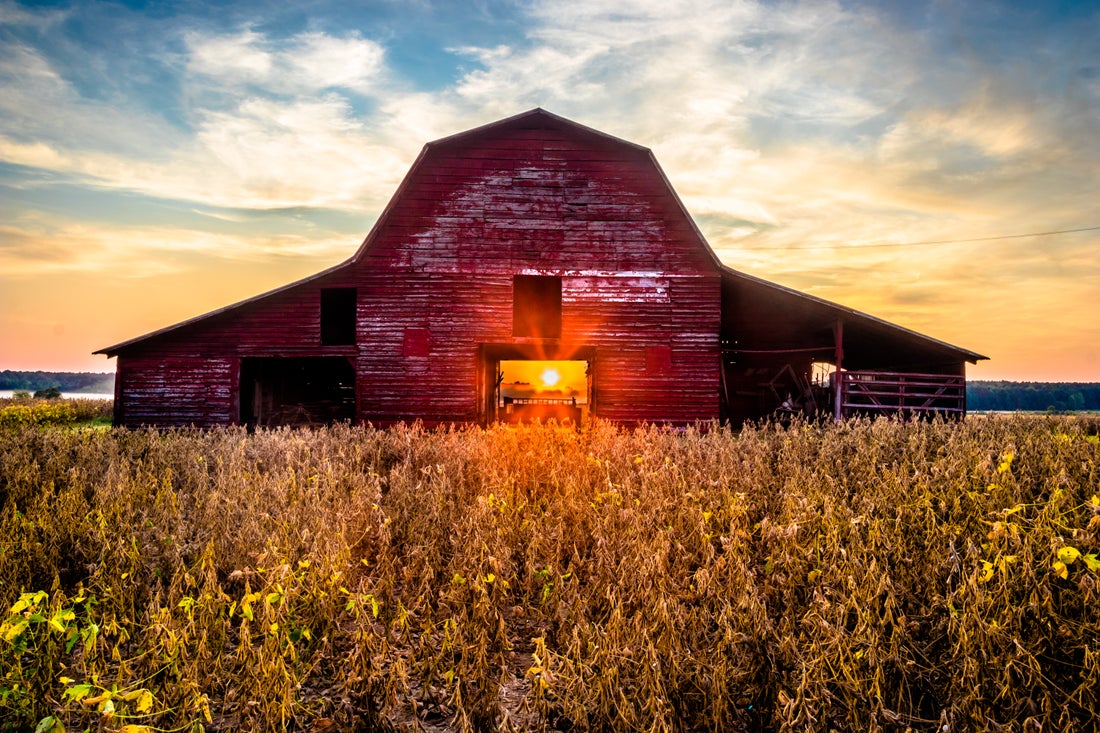 a barn in the middle of a field